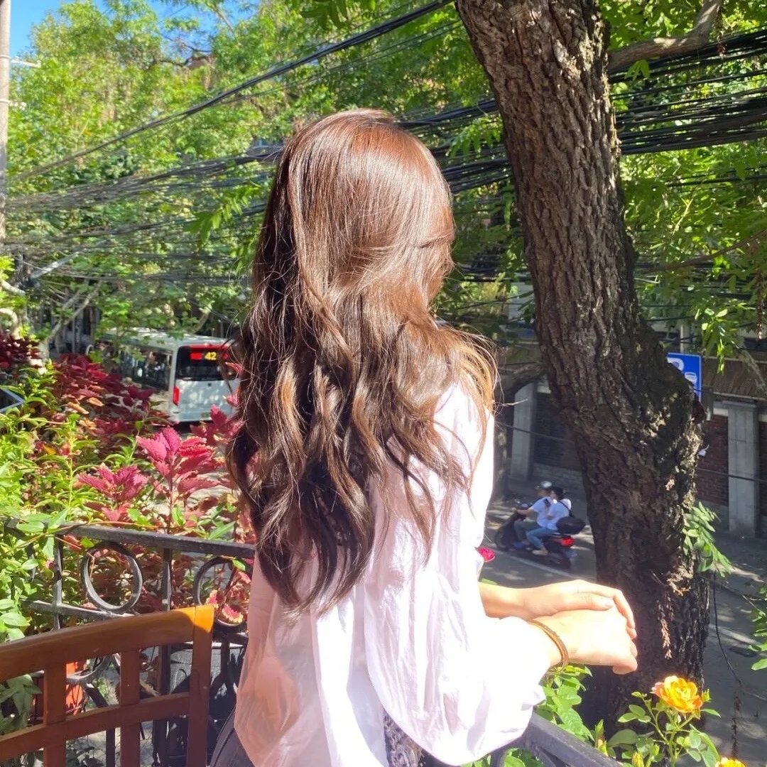 冲绳小芙蓉
